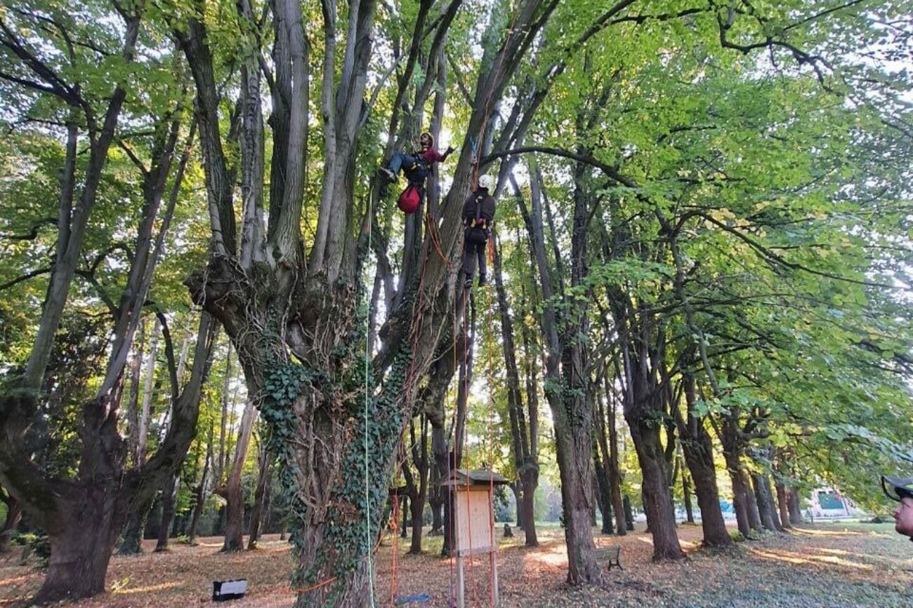 Parallelo 45 - sicurezza sul lavoro